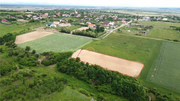 Teren intravilan 2.935 mp in viile satu mare | aproape de padure