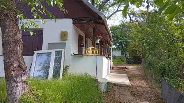 Proprietate de vanzare in golesti - 10800 mp teren si doua case, ideala pentru casa de vacanta