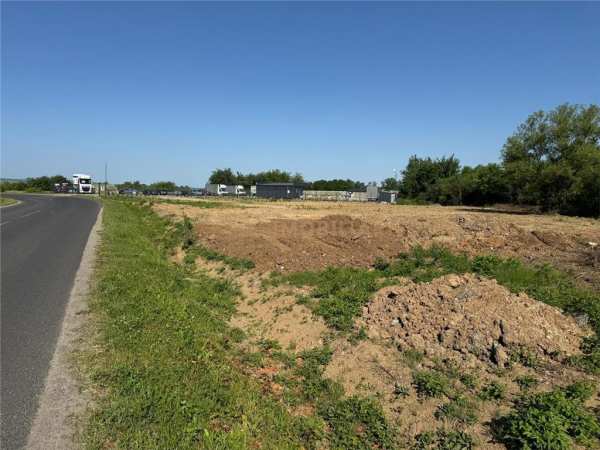 Teren intravilan 3500 mp de inchiriat, tautii magheraus