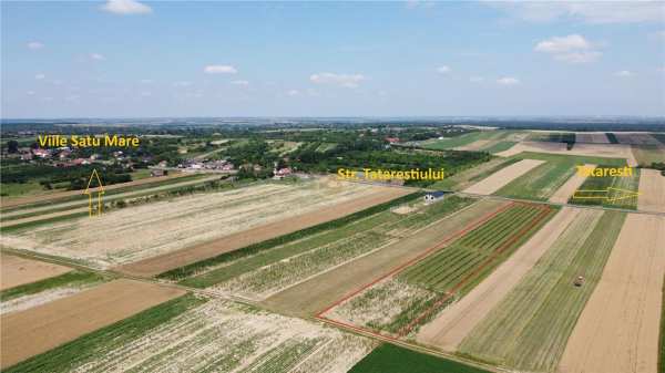 Teren intravilan cu plantatie | posibilitate de parcelare