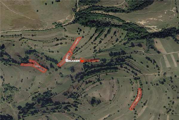 Portofoliu funciar de peste 10 hectare | izbuc - carpinet | jud. bihor