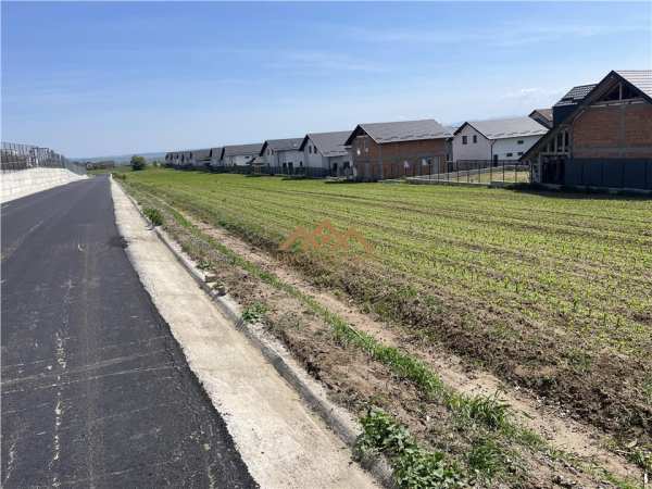 De vanzare | teren moara | 1000 -10.000mp