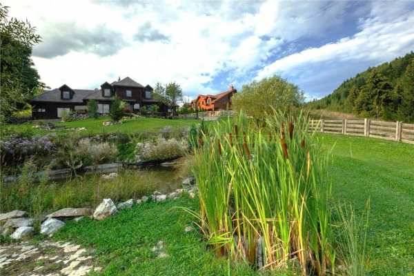 Raritate| proprietate de vis pe 6 ha de vanzare in pestera brasov